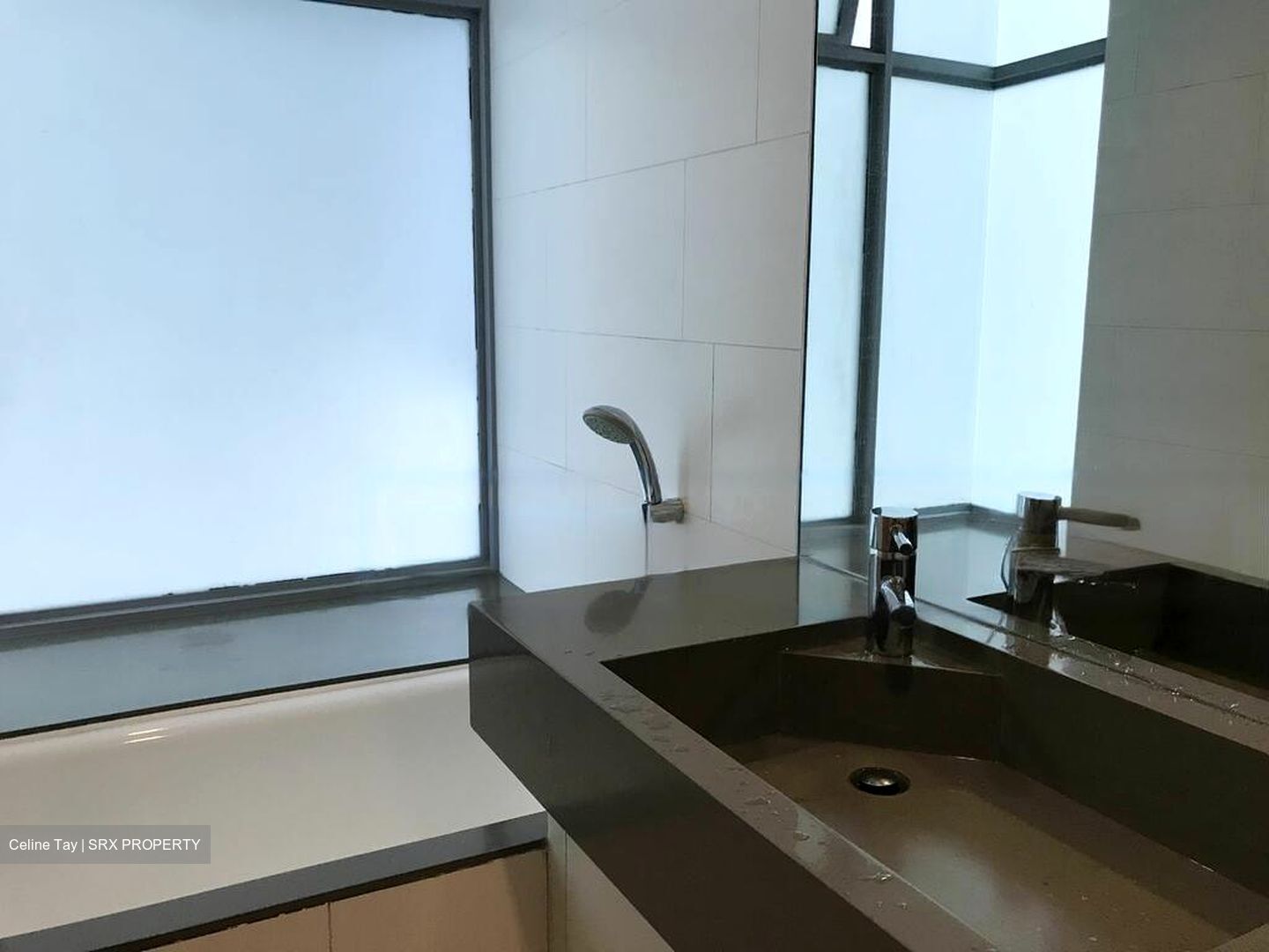 Pavilion 11 (D11), Condominium #563810381